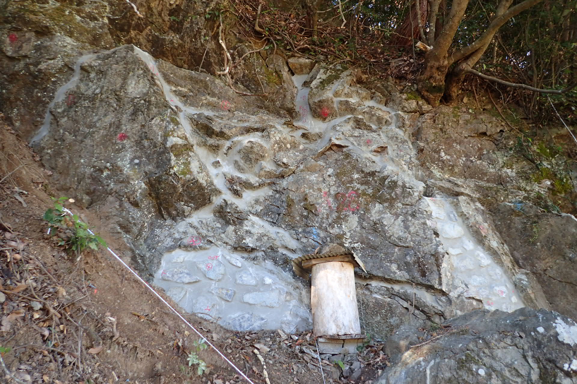 市道小ノ谷志越線道路工事（法面工）その1